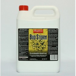 Bud Storm 5L