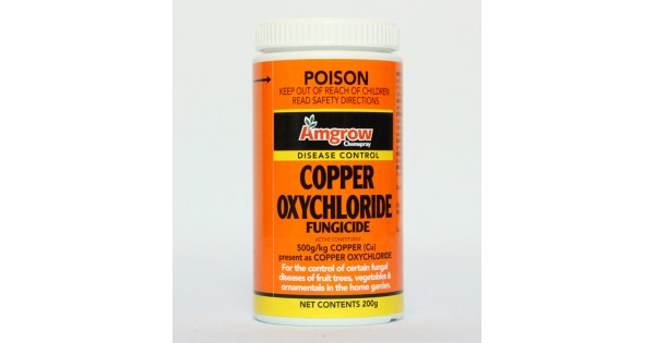 copper fungicide home depot