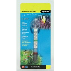 Aqua Glass Thermometer