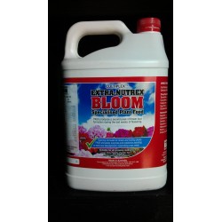 Extra Nutrex Bloom 1L