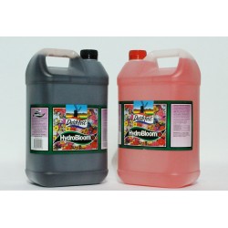 Dutchfest HydroBloom A+B 20LTR