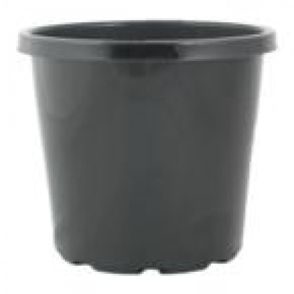 5L 200mm Flower Pot with holes.