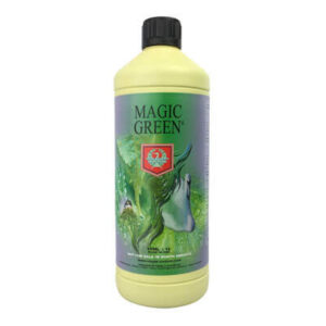H&G MAGIC GREEN