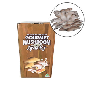 Aussie Mushroom - Ready To Grow Kit - Grey Oyster