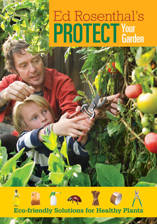 Eds Protect your Garden
