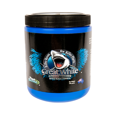 PLANT SUCCESS GREAT WHITE MYCORRHIZAE - Image 2