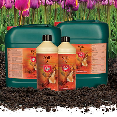 H&G Soil A&B - Image 2