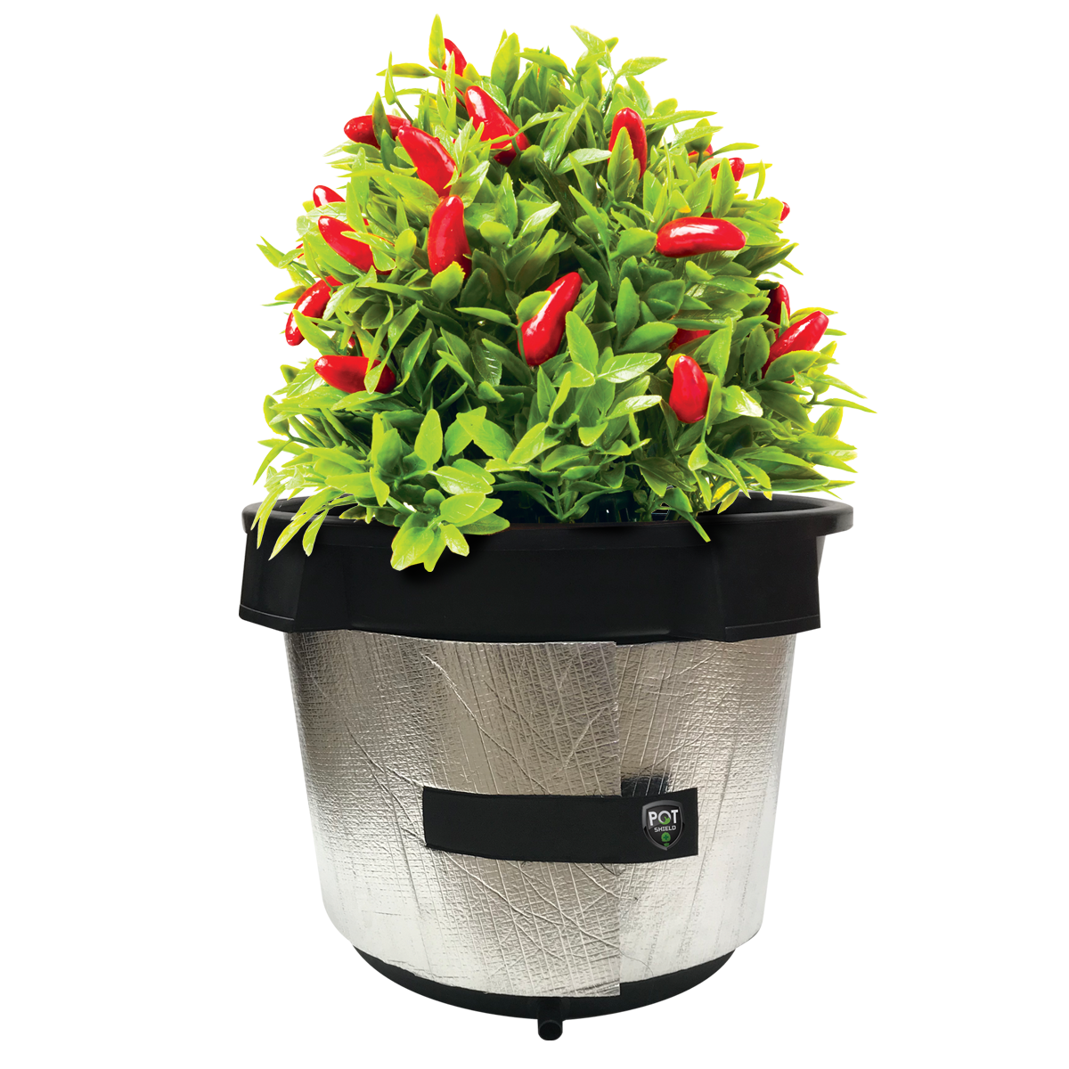 POT SHIELD - Image 2