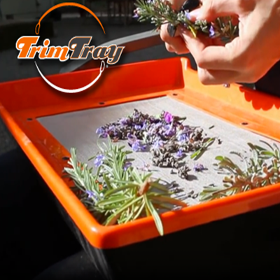 TRIM TRAY KIT - Image 3