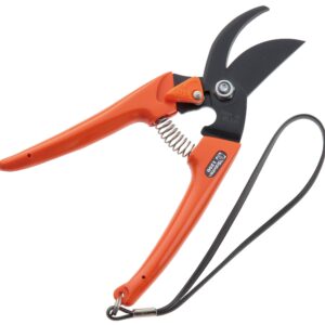 Saboten Classic Pruning Shears Bypass - No. 1200