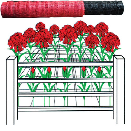 TRELLIS NETTING
