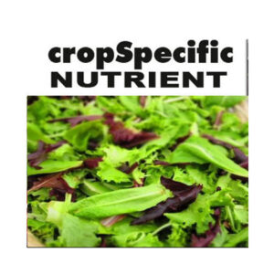 LETTUCE MIX 20 KG A & B PACK (NPK 2-1-3)