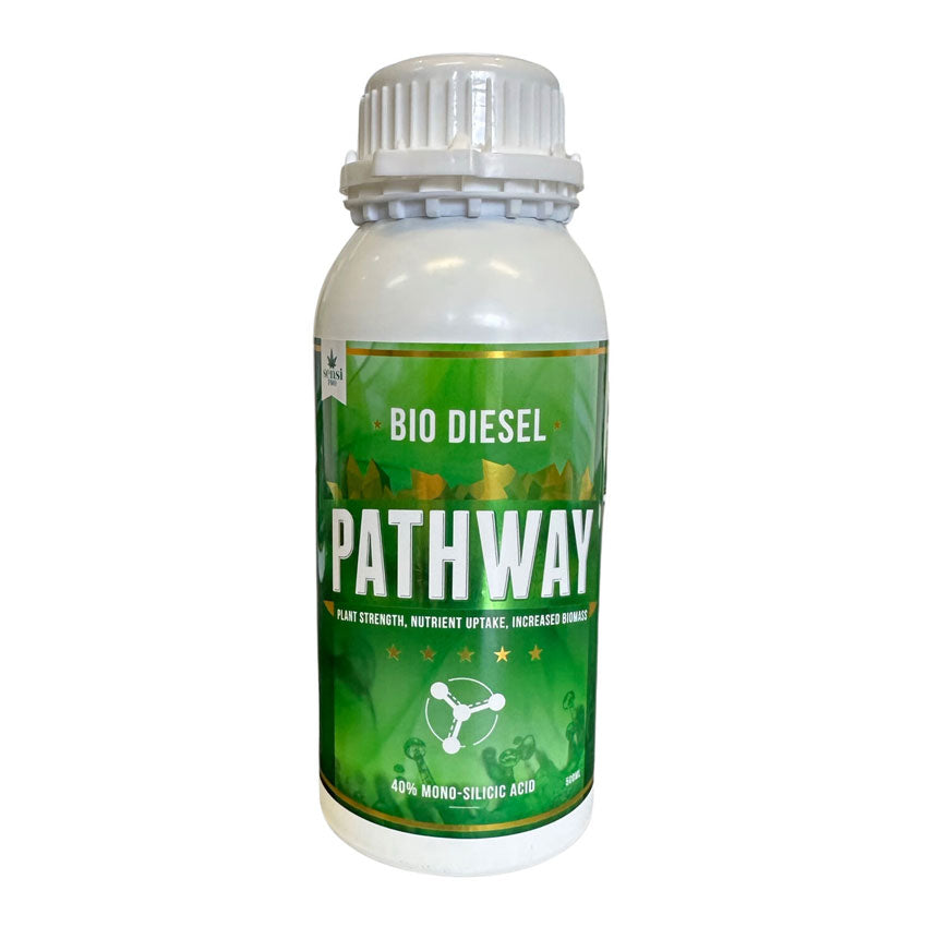 PATHWAY 40% MONO SILICIC ACID
