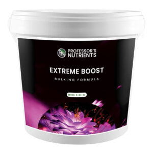 PROFESSOR'S EXTREME BOOST