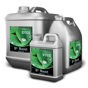 CYCO B1 BOOST
