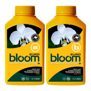 BLOOM EURO A & B