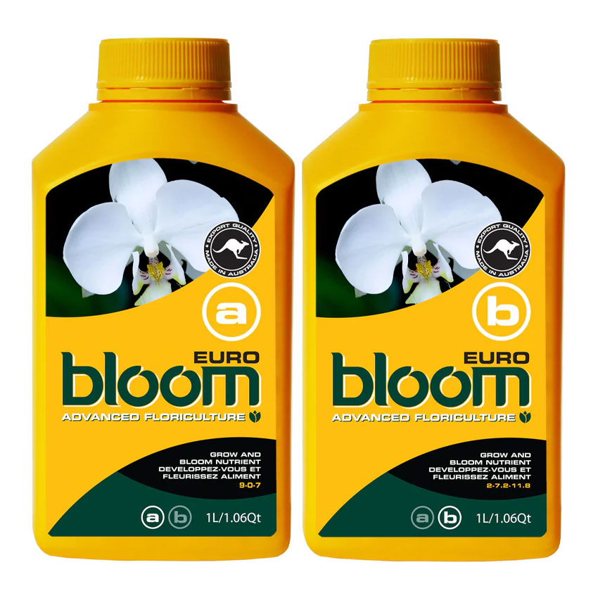 BLOOM EURO A & B