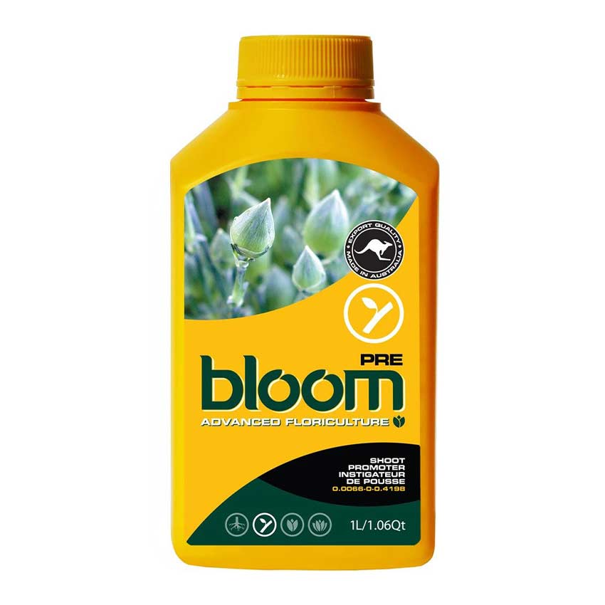 BLOOM PRE