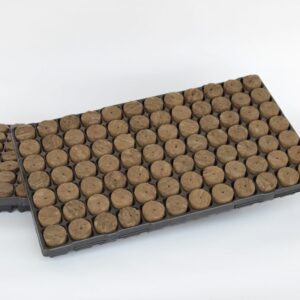 SPEEDGROW PROP 84 PLUG TRAY 38 X 40MM WITH HOLE