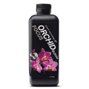 ORCHID FOCUS BLOOM