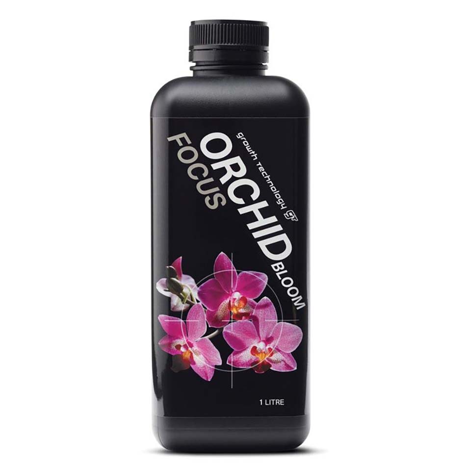 ORCHID FOCUS BLOOM