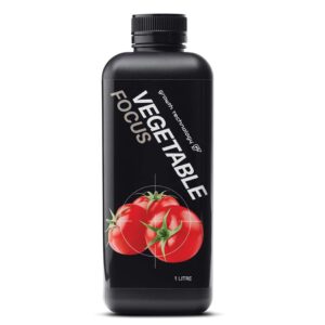 VEGETABLE FOCUS