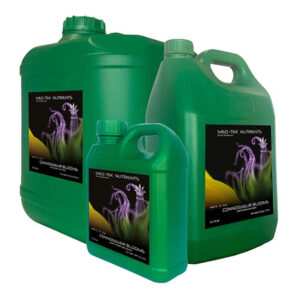 MEDTEK CONNOISSEUR BLOOMS