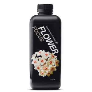 FLOWER FOCUS