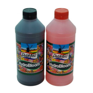 DUTCHFEST BLOOM A & B
