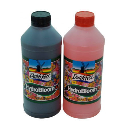 DUTCHFEST BLOOM A & B