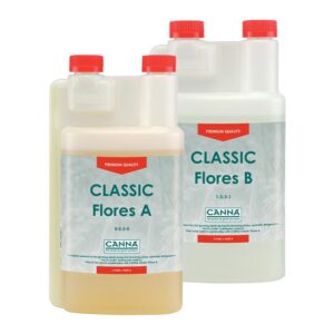 CANNA FLORES A + B