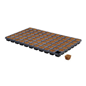 EAZY-PLUG CT-77 TRAY