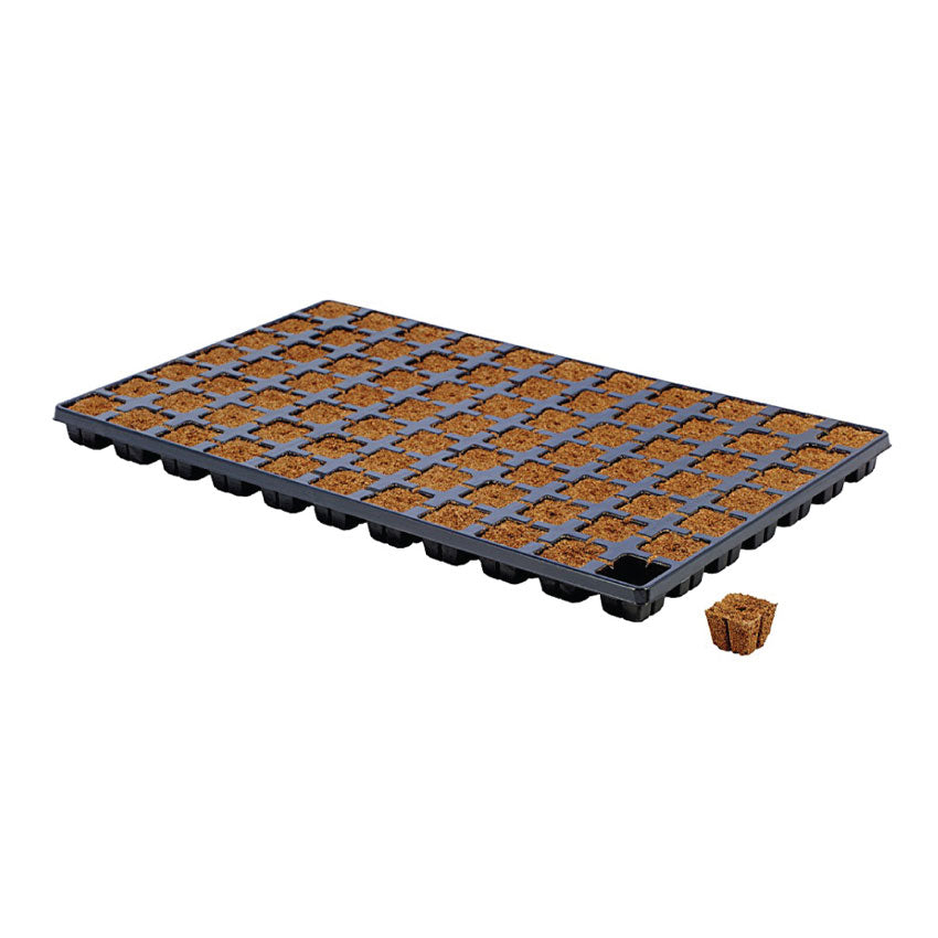 EAZY-PLUG CT-77 TRAY