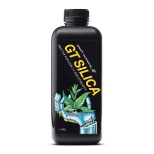 GT SILICA