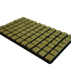 CULTILENE LARGE PROP CUBES 35MM TRAY OF 77