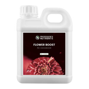 PROFESSOR'S FLOWER BOOST
