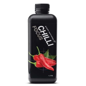 CHILLI FOCUS