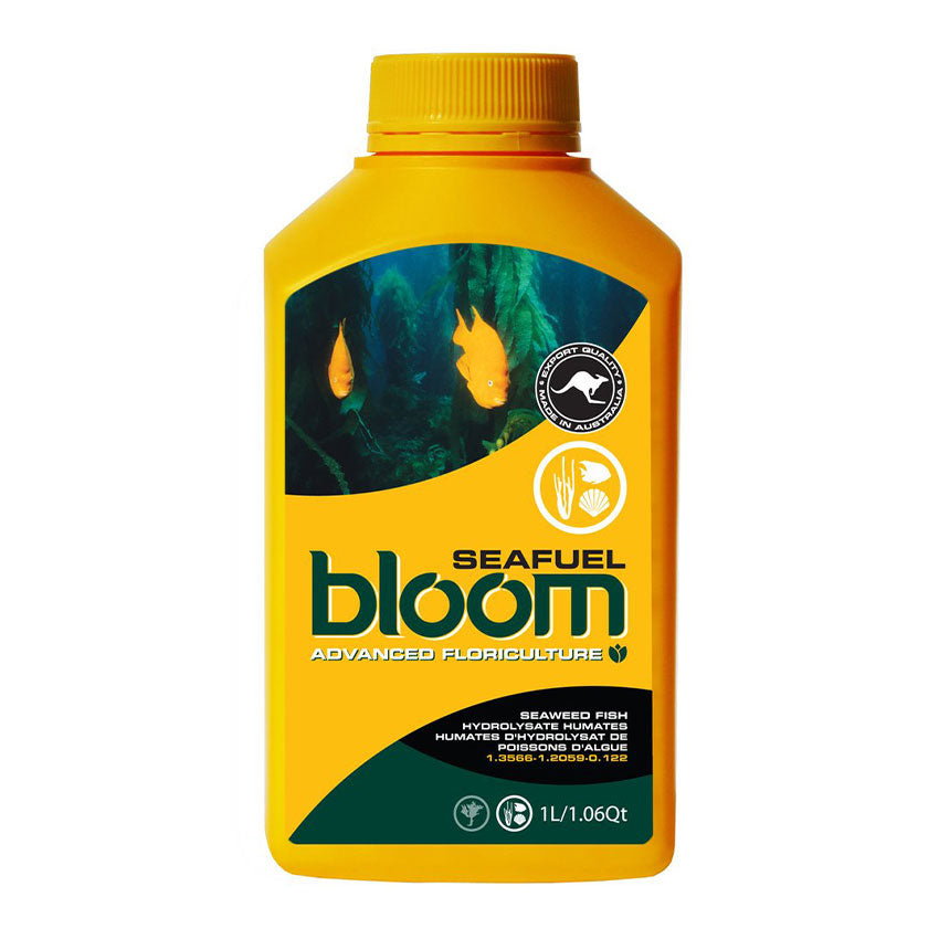BLOOM SEAFUEL