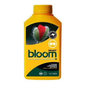 BLOOM PHAT
