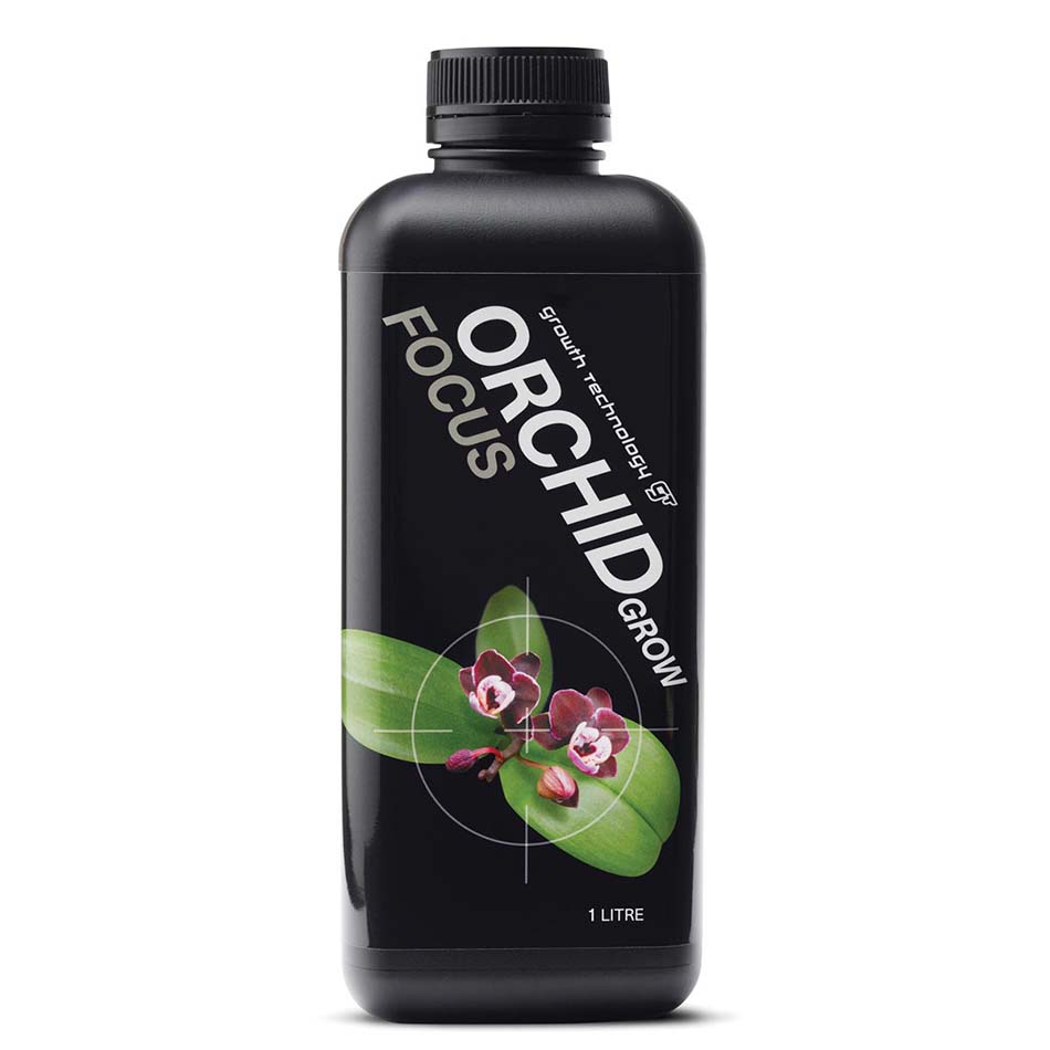 ORCHID FOCUS GROW
