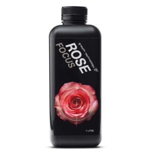 ROSE FOCUS