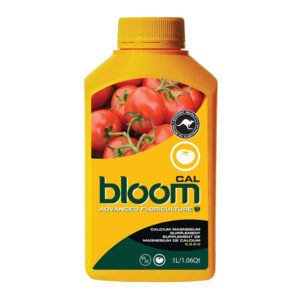 BLOOM CAL