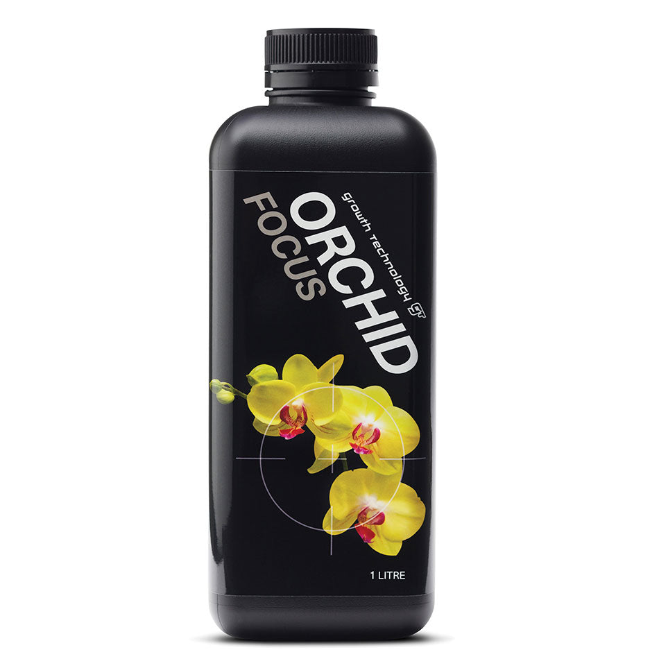 ORCHID FOCUS GENERAL
