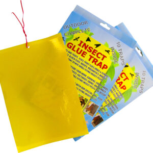 Insect Glue Traps - Pack 10