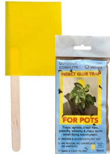 Insect Glue Traps for Pots - Pack 8