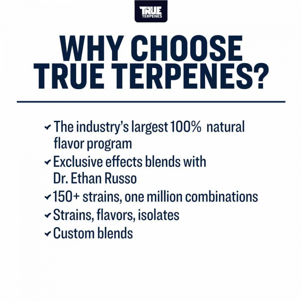 True Terpenes - Apple Fritter - Image 7