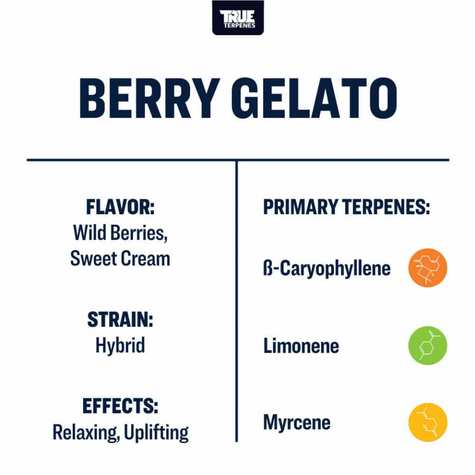True Terpenes - Berry Gelato - Image 2