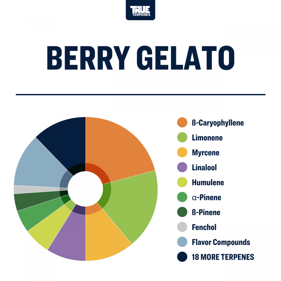 True Terpenes - Berry Gelato - Image 3