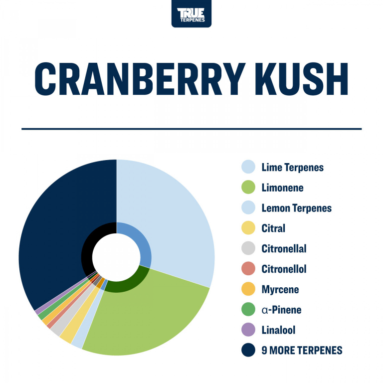 True Terpenes - Cranberry Kush - Image 3