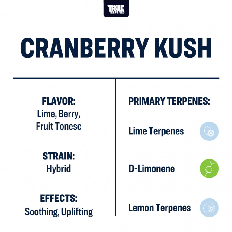True Terpenes - Cranberry Kush - Image 2